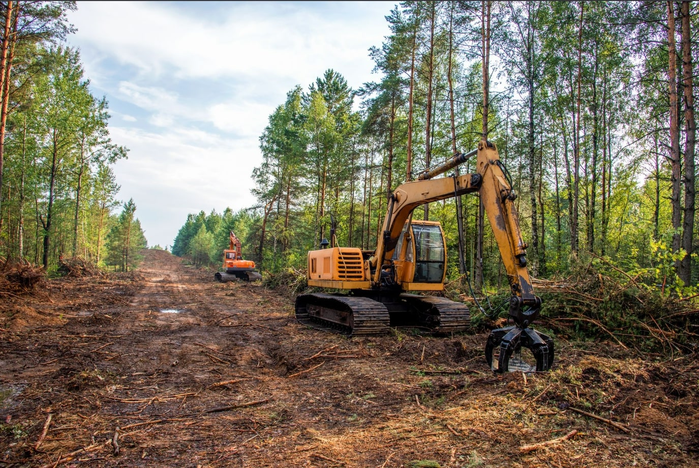 Digital Marketing Services For Land Clearing Businesses.