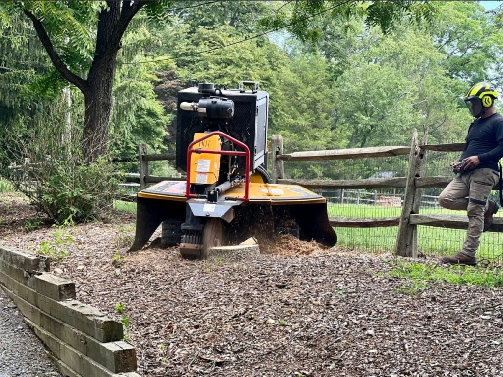 Tree Service Leads by Dirt2Dollars.