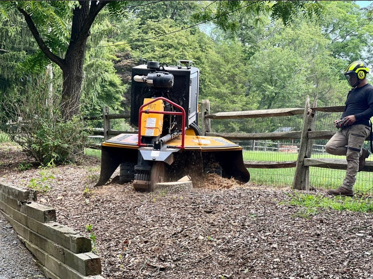 Tree Service Leads by Dirt2Dollars.